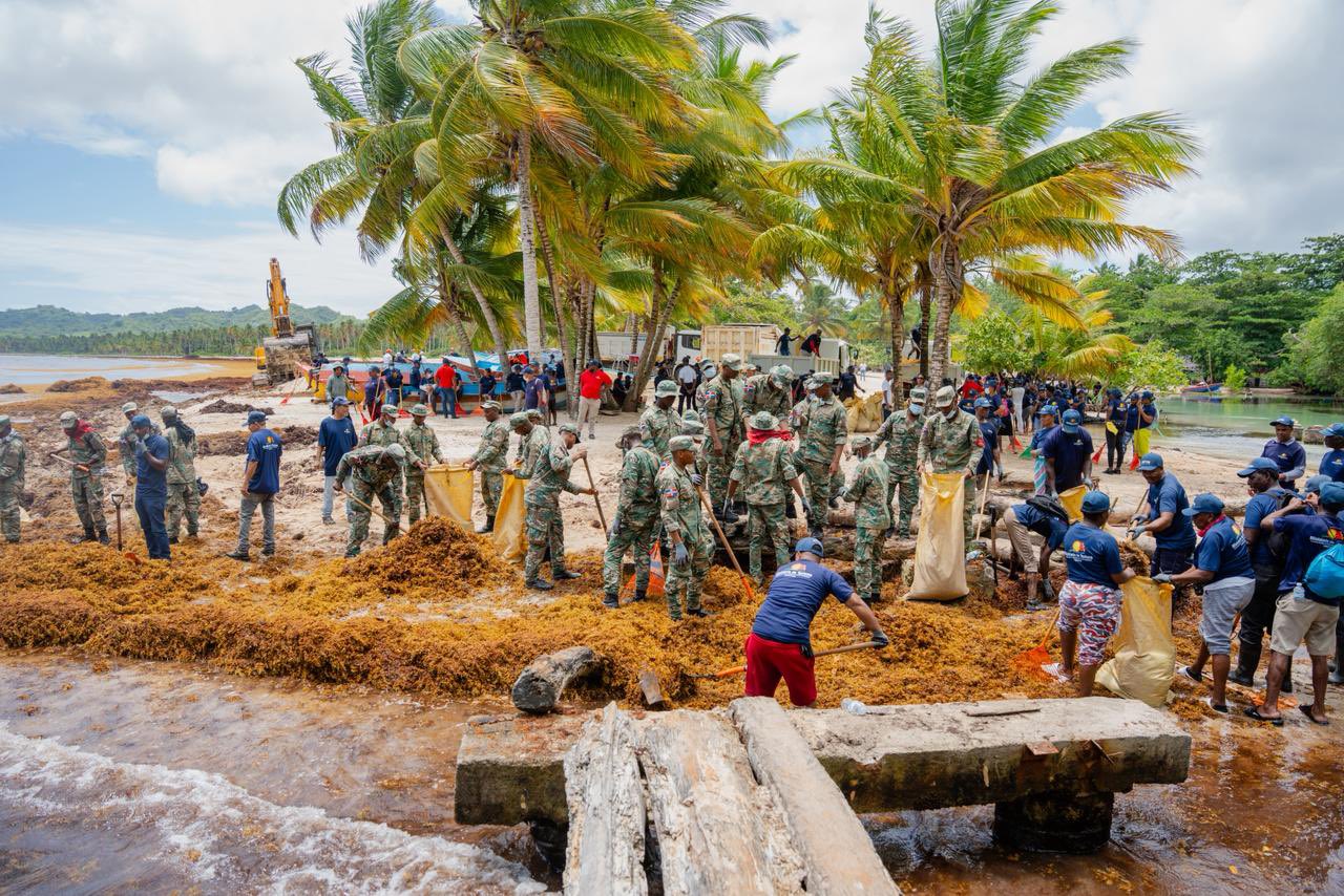 Durante el operativo que concluye este lunes, el Ministerio de Turismo, la Armada Dominicana y el Ministerio de Obras Públicas desplegaron camiones, tractores, barredoras y personal para retirar las macroalgas y recuperar las condiciones del destino.