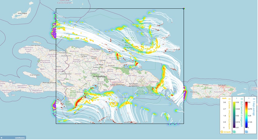 Flujo del sargazo por el Caribe alrededor de República Dominicana. Mapa de Anamar.gob.do