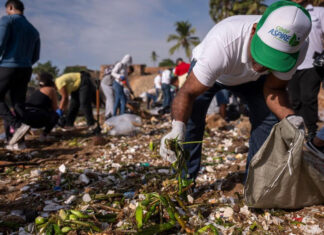 Medio Ambiente realiza Jornada Nacional de Limpieza de Playas y Riberas de Ríos 2026 “De la Cuenca al Mar” La Jornada Nacional de Limpieza de Playas y Riberas de Ríos 2026 “De la Cuenca al Mar” movilizó a distintos sectores en 110 localidades y permitió retirar 342,982.5 libras de residuos de playas y riberas de ríos.
