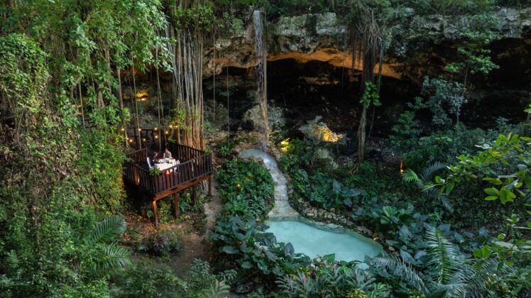 Private Dinner at the Cenote