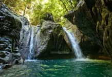 Puerto Plata prepara octubre para recibir 38 cruceros, pero ¿a dónde van esos cruceristas? Los atractivos de naturaleza, como la ruta de los 27 charcos de Damajagua, ganan cada vez más atractivo entre los cruceristas que visitan Puerto Plata.
